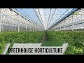 Tomato production Networks under Greenhouse at Almeria (Eng Sub) - TvAgro By Juan Gonzalo Angel