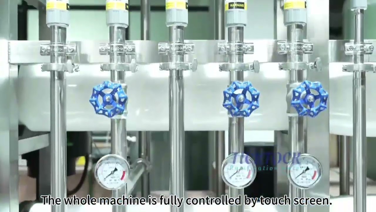 2000L/H Double Pass RO Machine Water Treatment Reverse Osmosis Equipment RO Plant EDI