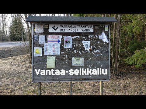 Video: Kuinka Suunnitella Ilmoitustaulu