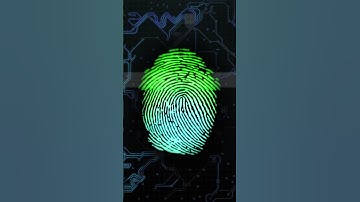Why Are Your Fingerprints Totally Unique? 🔍🧬