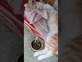 yo aquí descansando por ustedes que tengan un buen día!!!!!