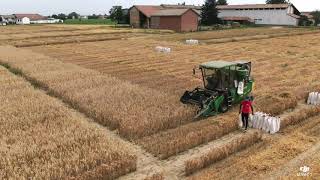 Luglio 2020Raccolta Delle Prove Parcellari Di Voghera Pv