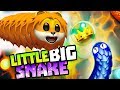 Little big snake ОГРОМНАЯ ЗМЕЯ в игре приключения мульт героя Веселый Летсплей сражения змей от SPTV