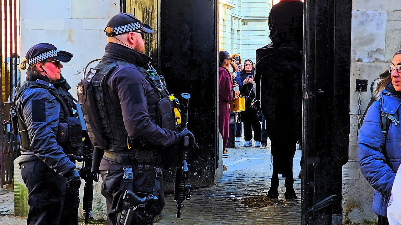 Excellent Female Officer Deals with Tourist Who Argued About White Line during Changing of the Guard