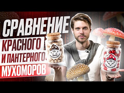 СРАВНЕНИЕ КРАСНОГО И ПАНТЕРНОГО МУХОМОРОВ | Что же выбрать?!