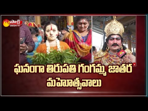 ఘనంగా తిరుపతి గంగమ్మ జాతర మహోత్సవాలు : Thathayya Gunta Gangamma Jathara Celebrations in Tirupati - SAKSHITV