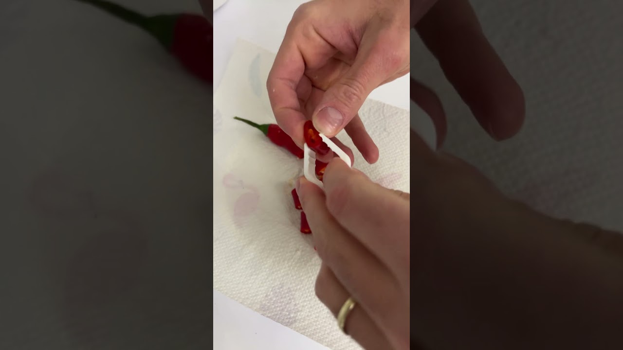 Preparazione Canarini Maschi con Peperoncino Rosso