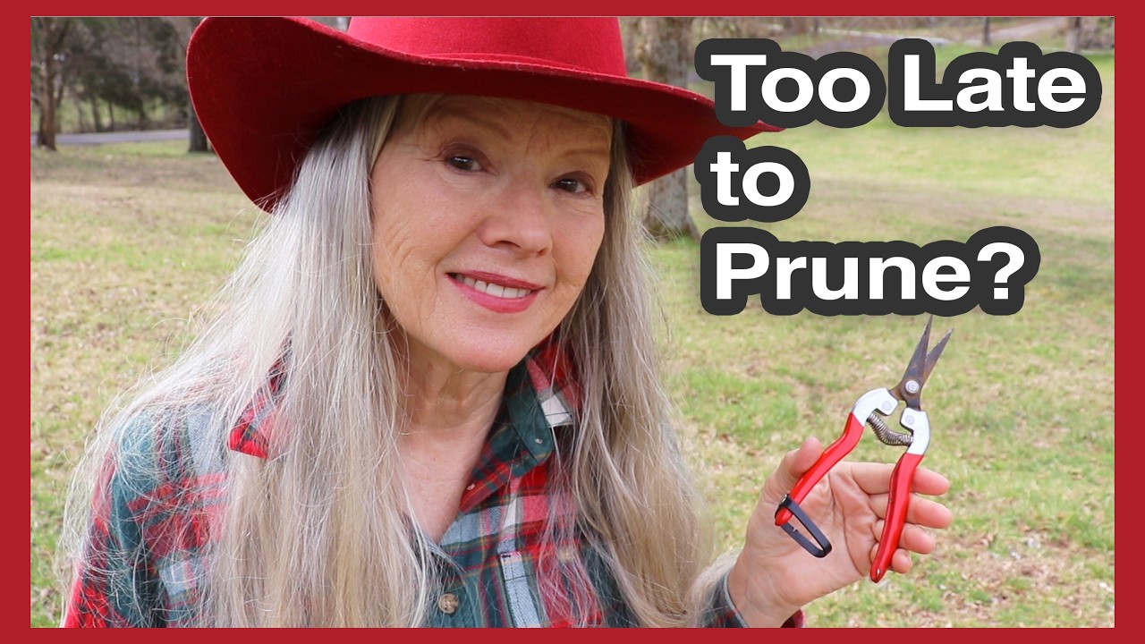 Слишком поздно для обрезки? + Покупка растений в питомнике с Дарреллом!