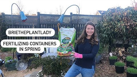 Fertilizing Containers in Spring