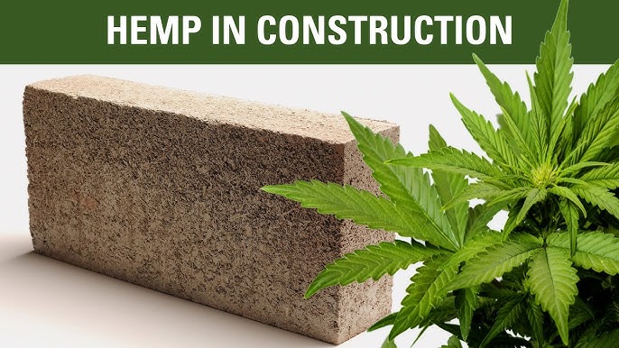 Can hemp help save the planet? - Down to Earth