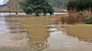 High Water 43370 1