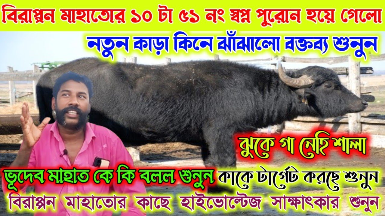 বিরাপ্পন মাহাত নতুন কাড়া কিনে ঝাঁঝালো বক্তব্য রাখেন ঝুকে গা নেহি শালা। কোন কাড়া মালিক কে বলল শুনুন