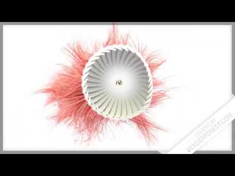 دور المنظمات البيئية فى حماية البيئة الموضوع الأول L الفلسفة التطبيقية أ عادل حسين 