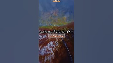 لَقَدْ جَاءَكُمْ رَسُولٌ مِنْ أَنْفُسِكُمْ عَزِيزٌ عَلَيْهِ#سوره التوبه #قران_كريم #تلاوة 