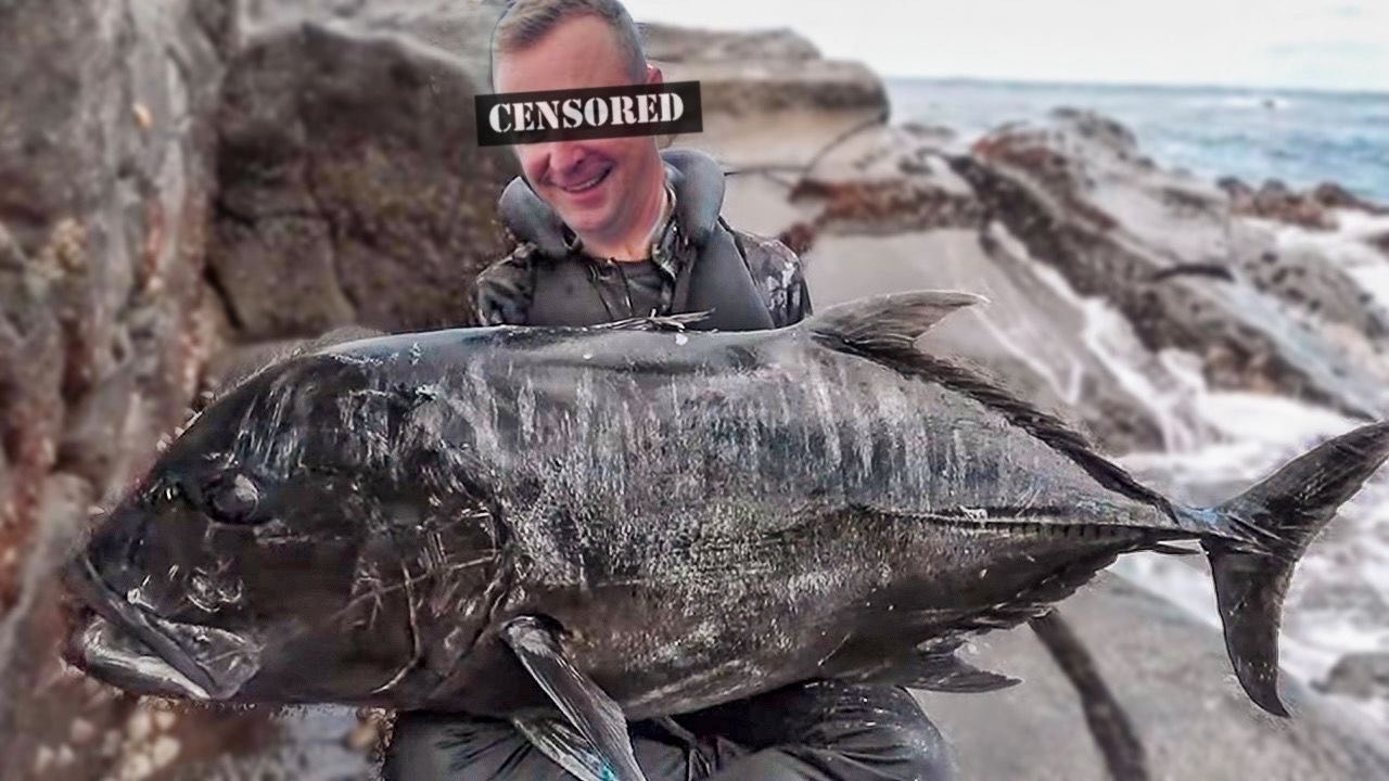 Riesiger GT vom Ufer gefangen !