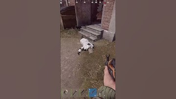 i had a DREAM -Rust #rust #shorts #funny #snowball