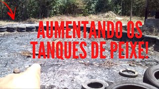 COMO ESTÃO FICANDO OS TANQUES DE PEIXE, AUMENTANDO A PRODUÇÃO