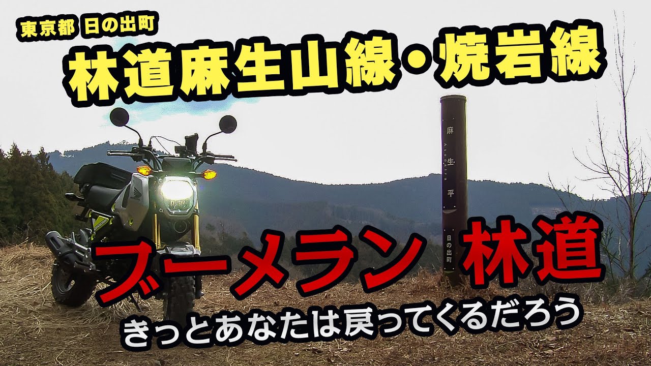 一周6.7Km 日の出町の林道麻生山線・林道焼岩線【ツーレポ】【モトブログ】【motovlog】【林道】