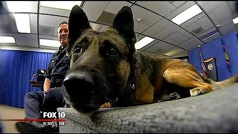 Phoenix K-9 officers help track suspects, sniff out drugs