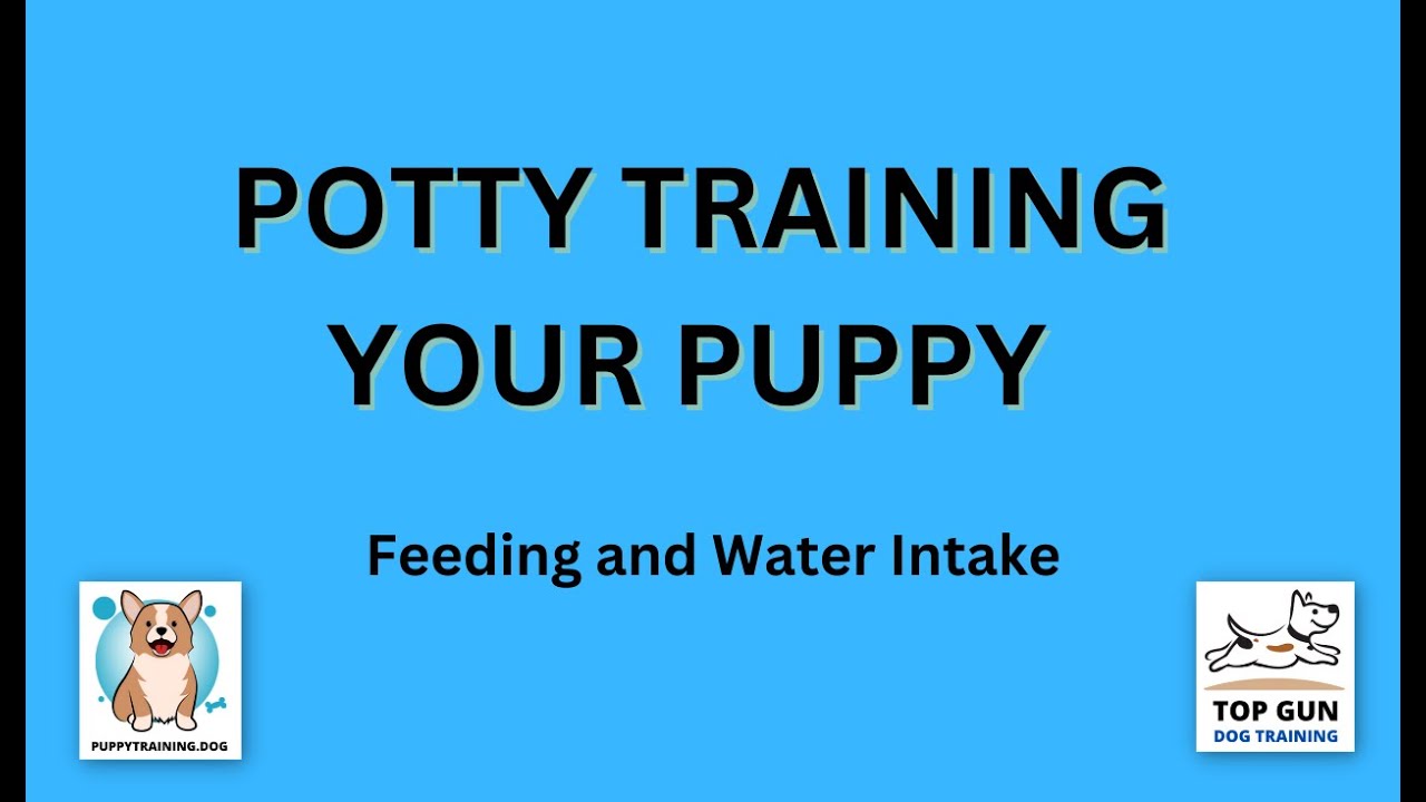 Part 16 - Feeding and Water Intake