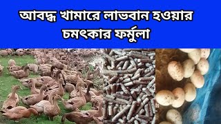 01982056392 | হাঁসের পুষ্টিকর খাবার | ডিমের হাঁসের খাবার | আবদ্ধ অবস্থায়হাঁস পালন | MSI Duck Farm