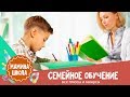 Семейное обучение: итоги 2-х лет без школы