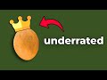 Chikoo The Uncrowned Prince Of Fruit Chikoo The Uncrowned Prince Of Fruit
