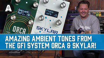 GFI System Orca Delay & Skylar Reverb - Ambient Guitar Tones at their Finest!!