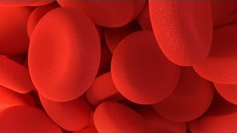 What is the difference between a blood clot and a thrombus?