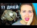 УЛИТКА УМЕРЛА!!! СМОТРИМ КАК РАСТУТ МАЛЫШИ УЛИТКИ | Elli Di Pets