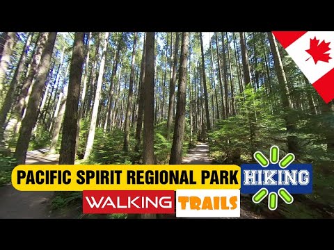 Video: Pacific Spirit Regional Park: Die volledige gids