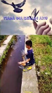 Story w.a meditasi