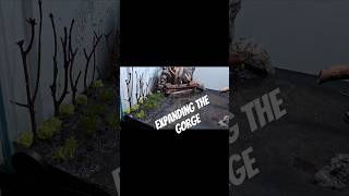 Expanding on the Verdant Gorge #aquascaping #underwatertrees #dicipline #regret