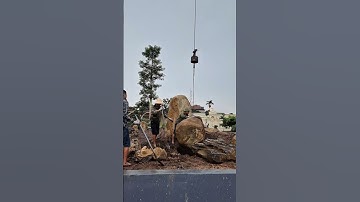 Thi công sân vườn biệt thự #laudaithanhthang