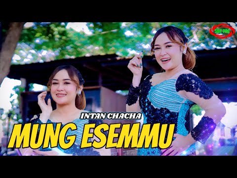 Video Mung Esemmu