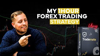 Forex Trading Strategy For Beginners (1 Hour Timeframe)