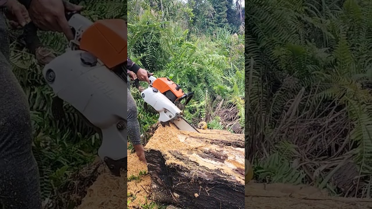 Brandnew 7.5hp Stihl 070 Powerful Chainsaw With 36” Chain Bar
