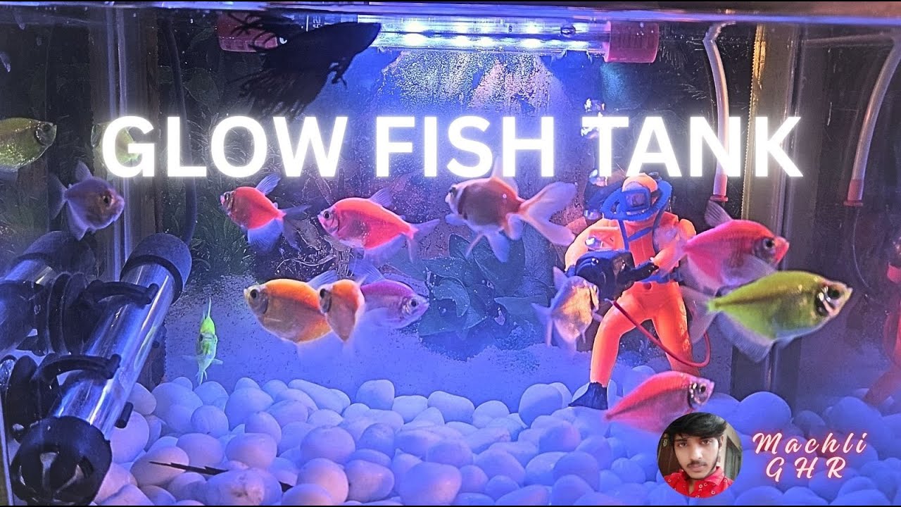 New Aquarium Setup in My Fish Room | Complete Installation + Tips | Machli Ghr 