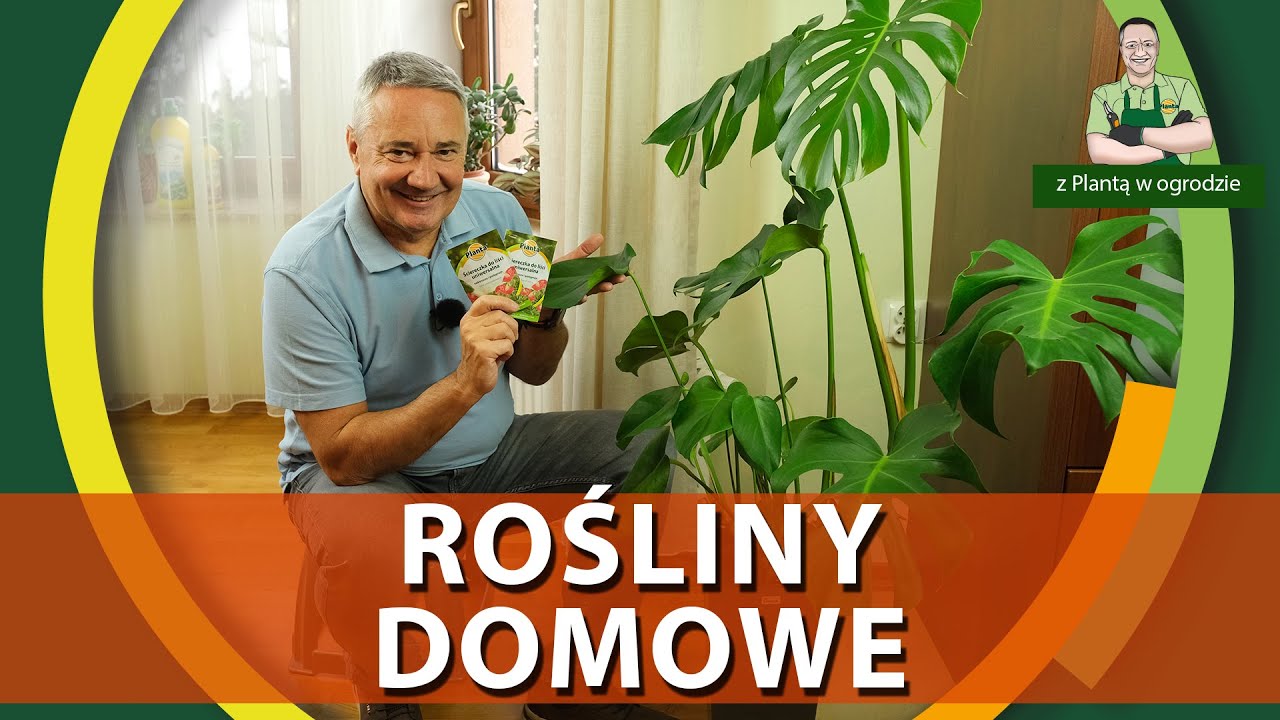 Pielęgnacja roślin domowych - Z PLANTĄ W OGRODZIE