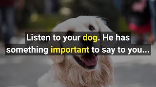 Listen to your Dog. He has something important to sat to you..