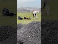 Wicket keeping in U-16 district trial #cricket #wicketkeeping