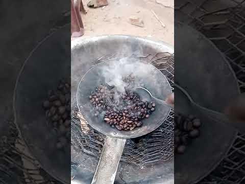 البن البن تنتني يلا
