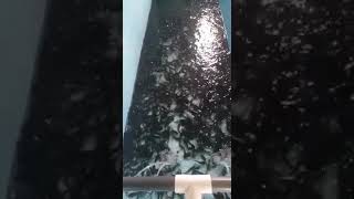 Alevin De 10G, Dorcas Service Sarl, Ingénieur Béré Élie 226 5216523957090267