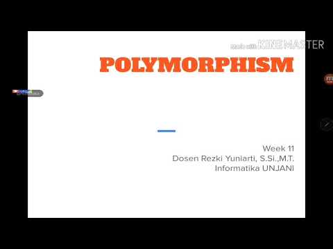 Video: Perbezaan Antara Polimorfisme Sementara Dan Seimbang