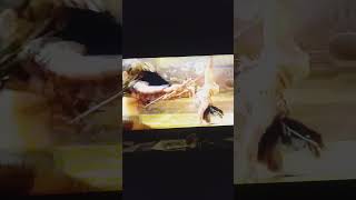 Clip from The Mummy Returns "The Duel"  #adventure #like   (video not mine)