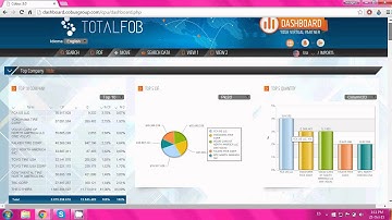 Simple Dashboard Pdf