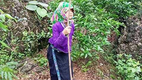 Gái Nùng tập làm phim hài hước