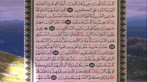 القران الكريم سورة النحل من الاية 35 الى الاية 54