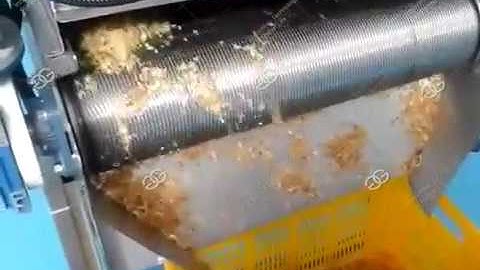 Continuous Fried Onion Frying Machine Video