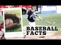 All About Baseball Facts You Have To Know All About Baseball Facts You Have To Know